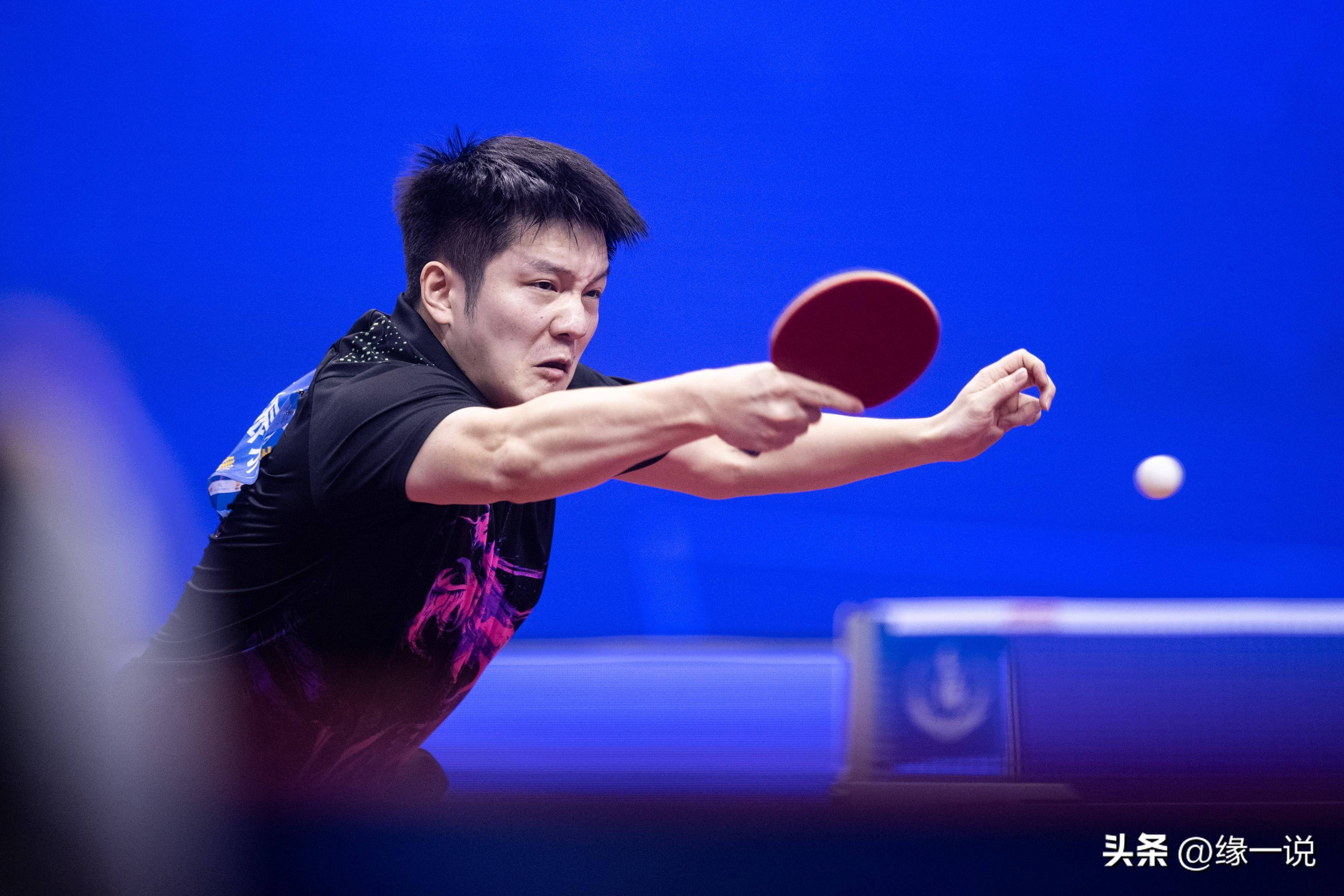 英格兰队险胜韩国队,樊振东点燃赛场 英格兰队险胜韩国队,樊振东点燃赛场